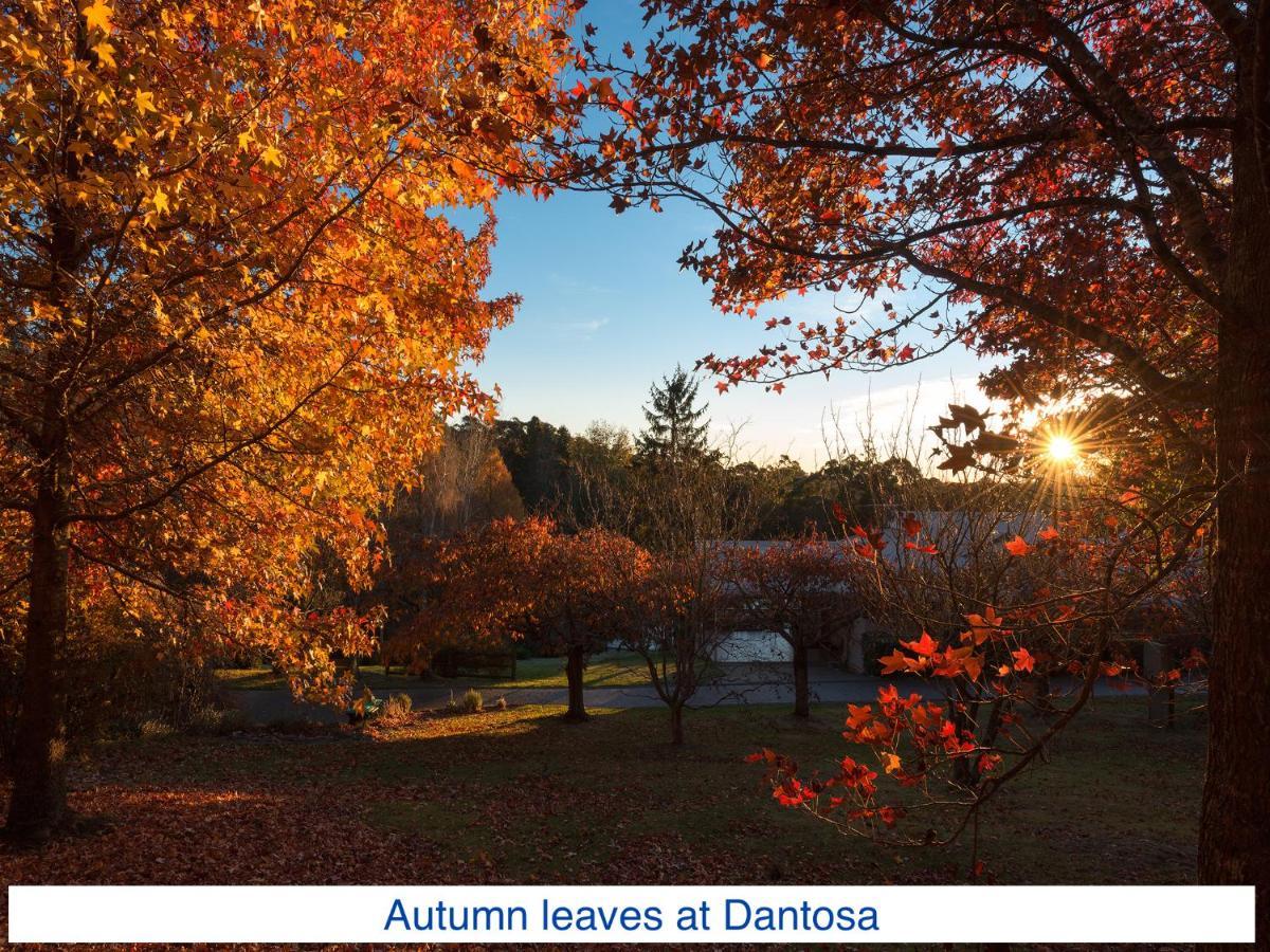 Dantosa Blue Mountains Retreat Villa Katoomba Dış mekan fotoğraf