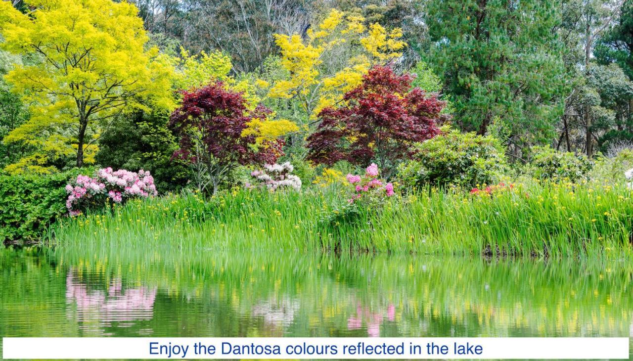 Dantosa Blue Mountains Retreat Villa Katoomba Dış mekan fotoğraf