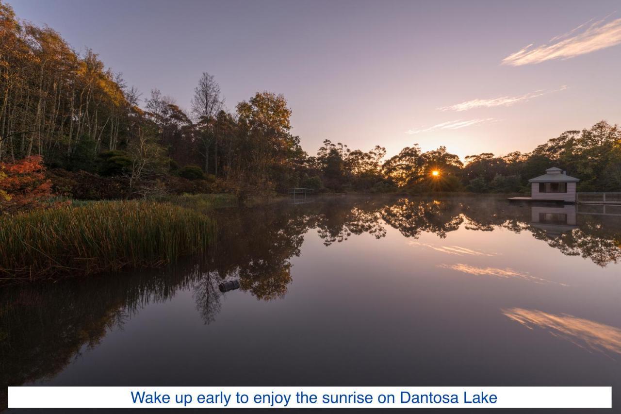 Dantosa Blue Mountains Retreat Villa Katoomba Dış mekan fotoğraf